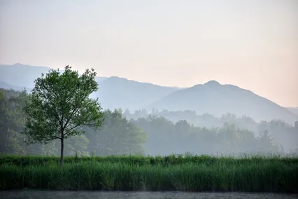 소류지의 아침풍경