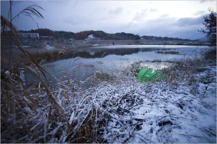 첫눈이 내렸습니다