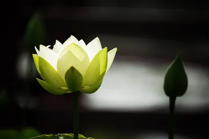 낚시대 펴고 사진 찍으로