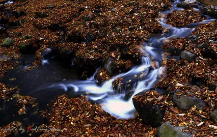 선운사 도솔암의 추경