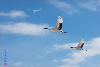 쿠시로에서 *^*^*^*