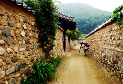 대구 인근 출사하기 좋은 곳