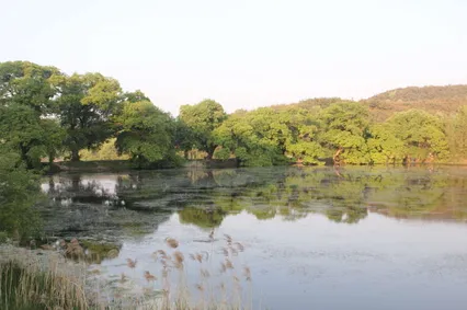 다시찾은반곡지