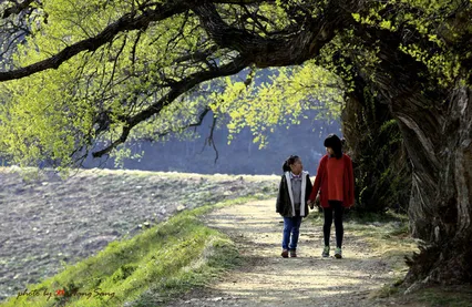 아름다운 저수지 경산 반곡지