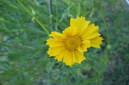 춘천댐 세월낚시터 주변에서