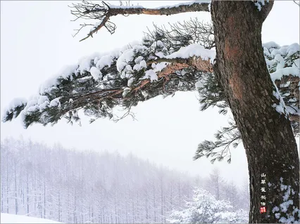 요즘은 사진찍으로 *^*^*^*