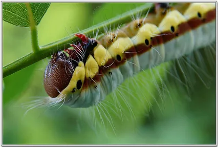 여름이 그리워라