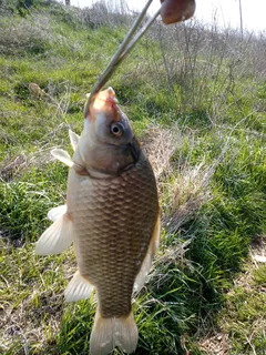 역사는 낚시다1