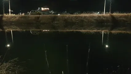 망월수로 초저녁